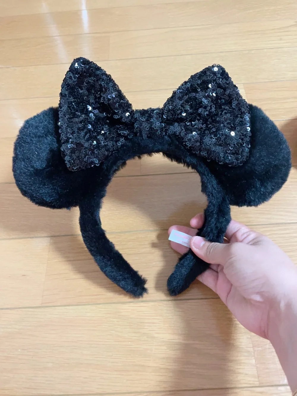 Disneyland Resort set two